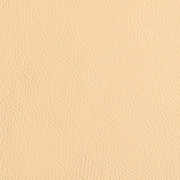 Leather Wedding Album Cover