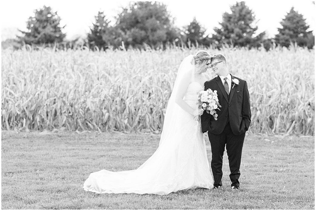 Sunset portraits after fall wedding in Brownsburg, Indiana