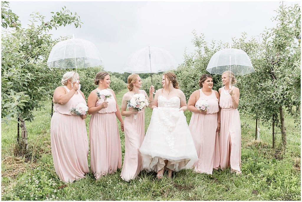 Bridal party photos at County Line Orchard wedding in Hobart, Indiana