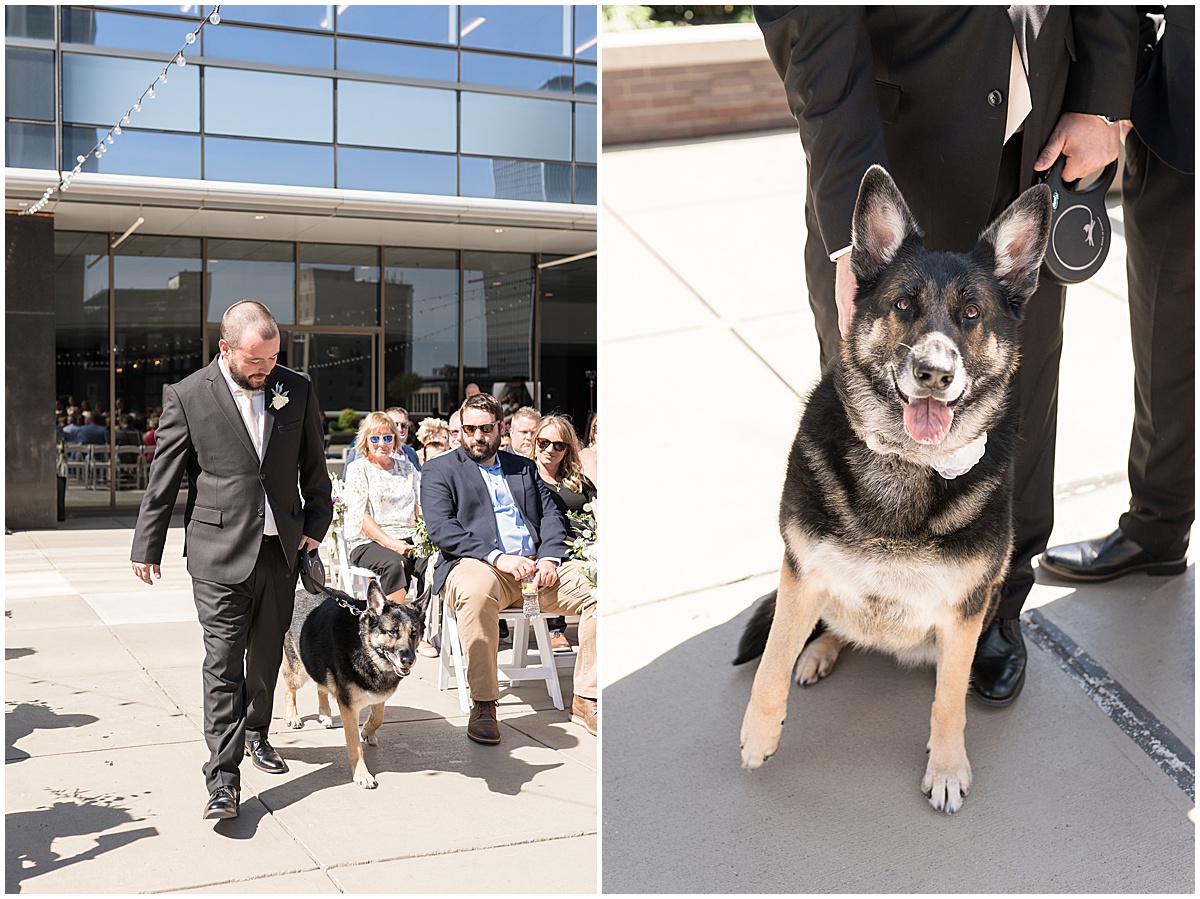 Couples dog walking down aisle for rooftop wedding in downtown Indianapolis at JPS Events