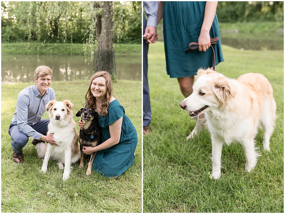 Couple hugging their dogs during spring engagement photos at Holcomb Gardens in Indianapolis