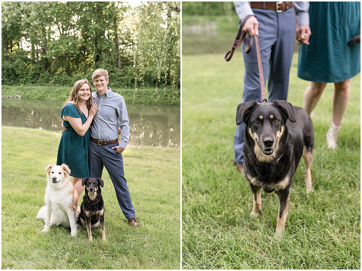 Couple portraits with their dog at spring engagement photos at Holcomb Gardens in Indianapolis