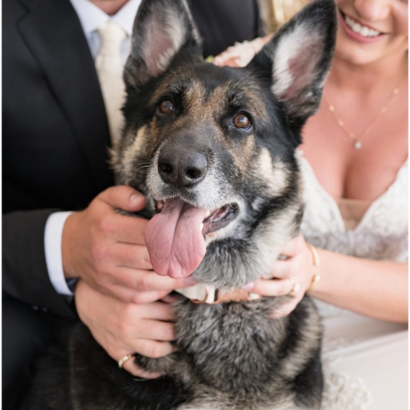 Newlyweds dog after JPS Events Wedding in Downtown Indianapolis