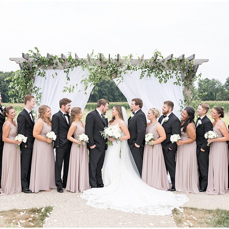 Bridal party look at each other after wedding at New Journey Farms