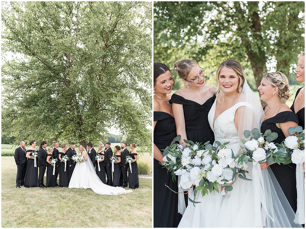 Bridal party by tree at wedding in Converse, Indiana