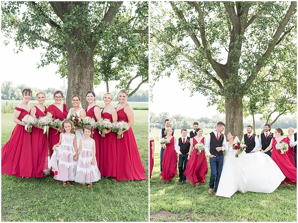 Bridal party photo on family farm for Churchill Farms wedding in Lake Village, Indiana