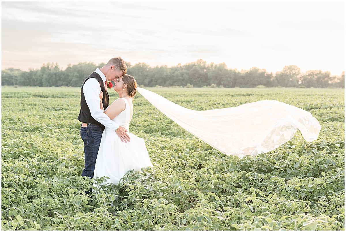 Bride and groom in field at sunset after Churchill Farms wedding in Lake Village, Indiana