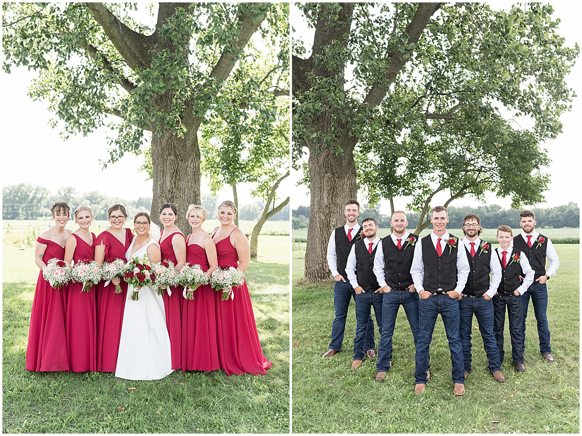 Bridal party photo on family farm for Churchill Farms wedding in Lake Village, Indiana