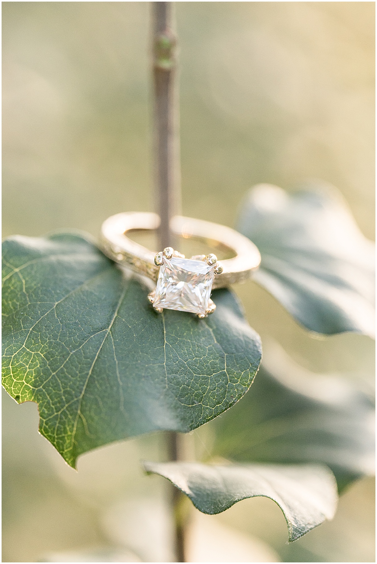 Close up of ring on leaf at jewel tone engagement photos at Newfields