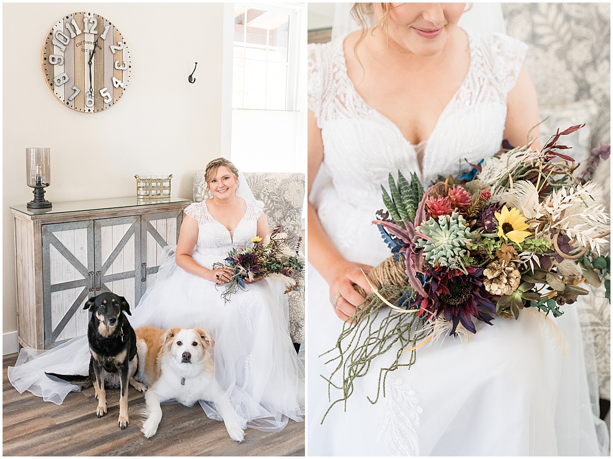 Bride with her dogs before fall wedding at 3 Fat Labs in Greencastle, Indiana