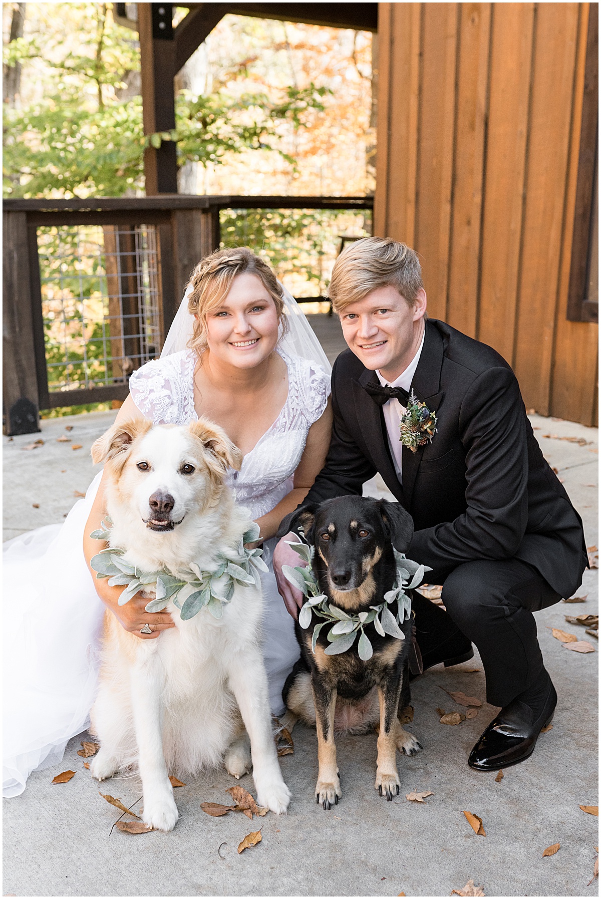 Couple with dogs before fall wedding at 3 Fat Labs in Greencastle, Indiana