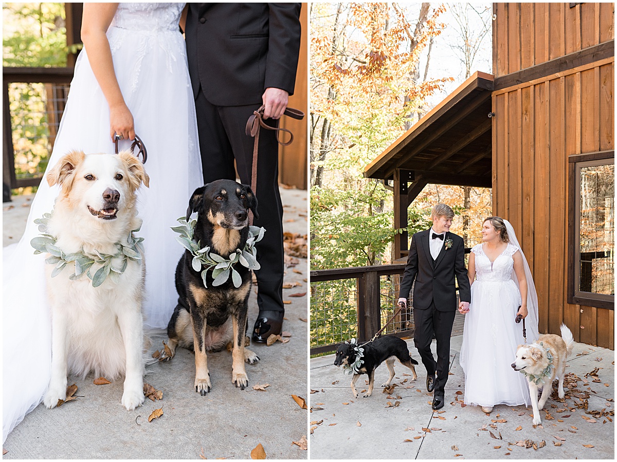 Close up of dogs with flower leashes at fall wedding at 3 Fat Labs in Greencastle, Indiana