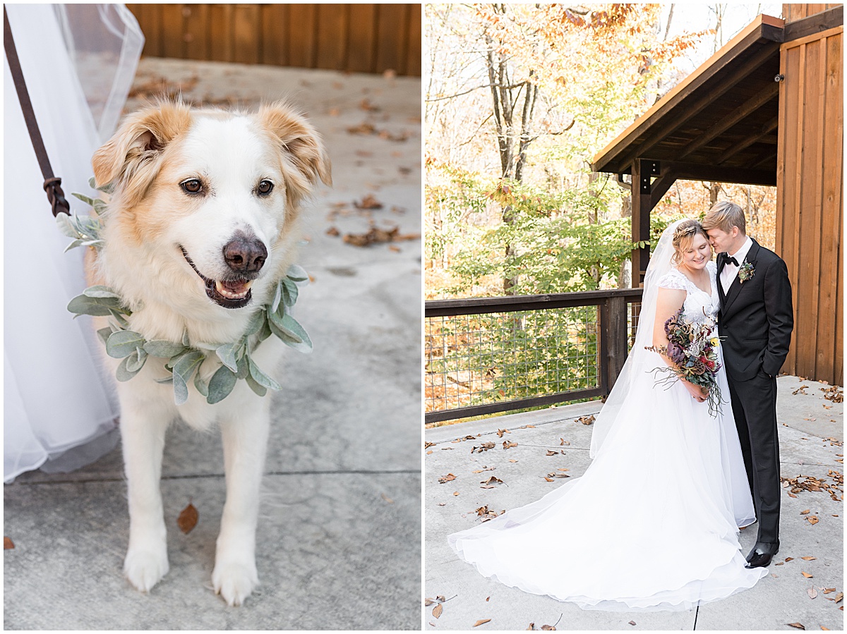 Bride and groom's dog wearing florals for fall wedding at 3 Fat Labs in Greencastle, Indiana