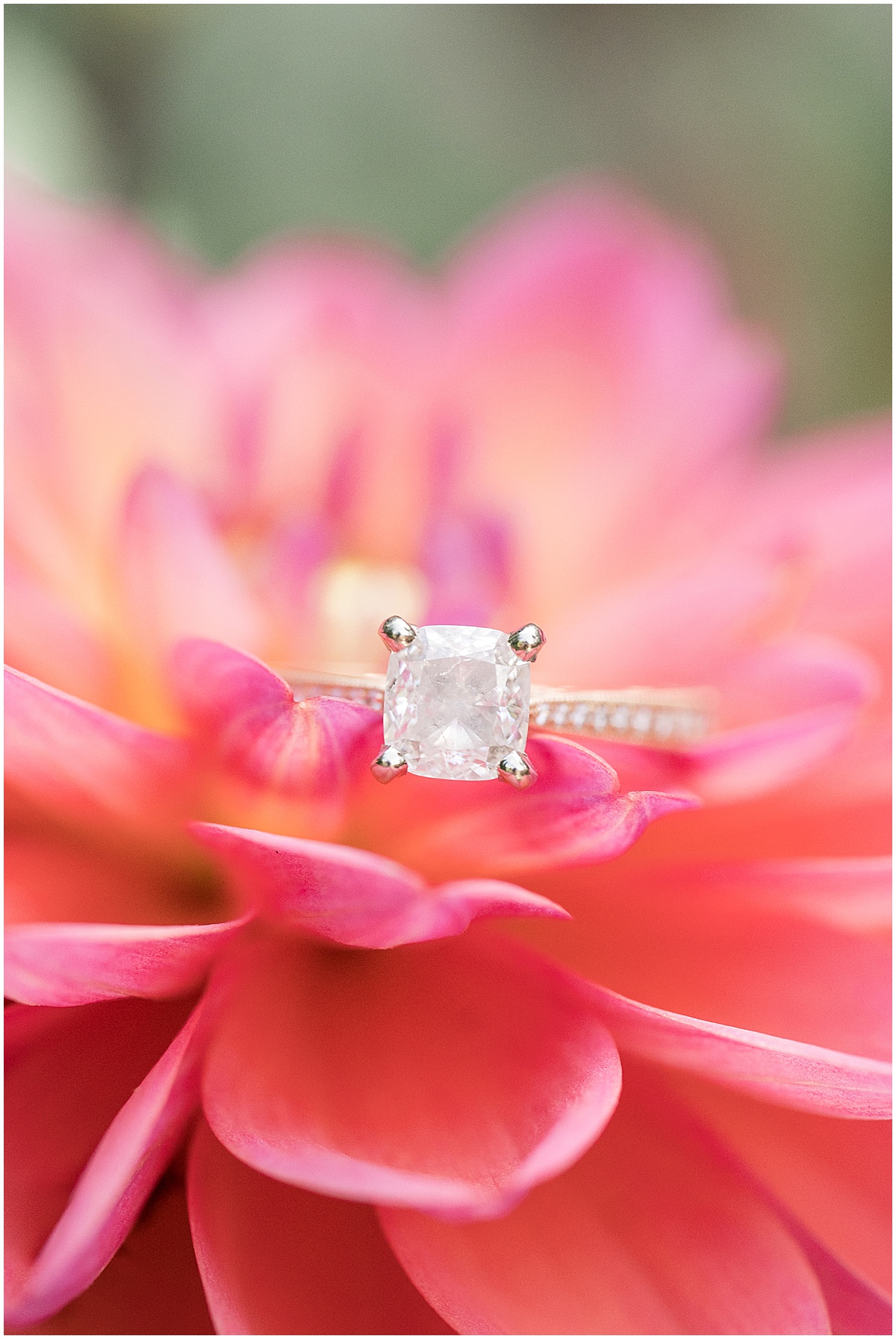 Close up of ring on pink flower at garden engagement photos at Newfields in Indianapolis