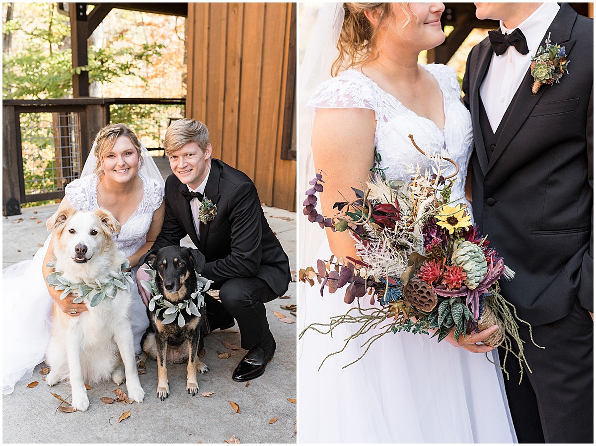 Bride and groom with dogs at fall wedding at 3 Fat Labs in Greencastle, Indiana photographed by Victoria Rayburn Photography