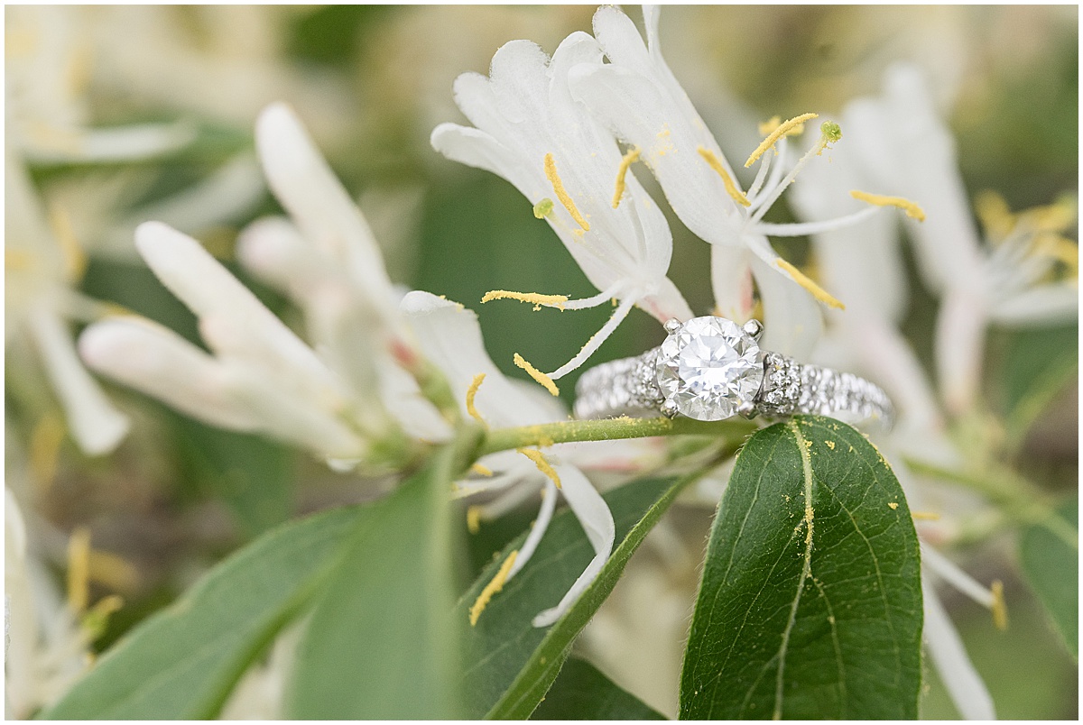 Close up of ring in flower during engagement photos at Holcomb Gardens in Indianapolis.